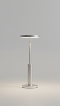 Brushed Metal Minimalist Table Lamp